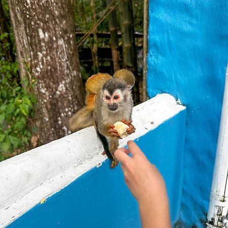 Hotel Colibri Nationalpark Nationalpark Manuel Antonio Exterior foto